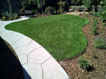 Artificial Grass Photos: Synthetic Pet Turf Lebec California Landscape